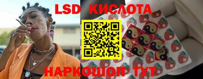 индика Вязники