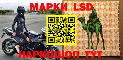 индика Вязники