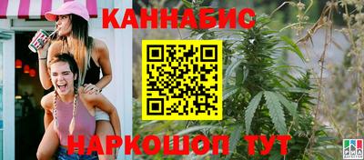 индика Вязники